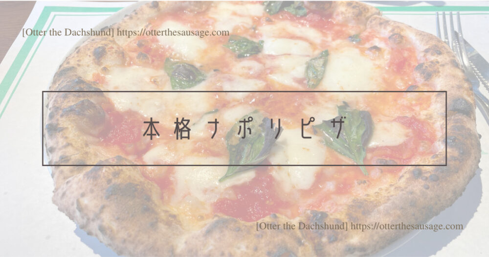 Blog Header image_犬と旅行_犬連れ旅行_Á FENESTELLA TRATTORIA E PIZZERIA_ア　フェネステッラ_軽井沢_犬連れランチ_イタリアン_ピッザリア_本格ナポリピザ
